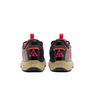 PG4 'PCG' Release Date