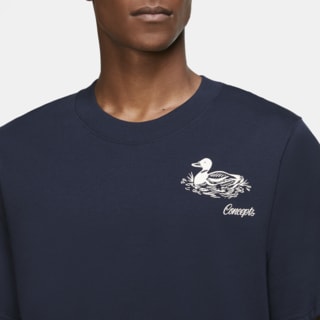 Nike SB x Concepts 'Mallard Apparel Collection' Release Date