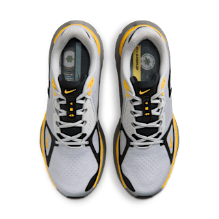 NIKE STRUCTURE PLUS Release Date