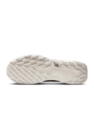 Pegasus Trail 5 GORE-TEX 'Mink Brown and Moon Particle' (HQ7494-200) 發售日期