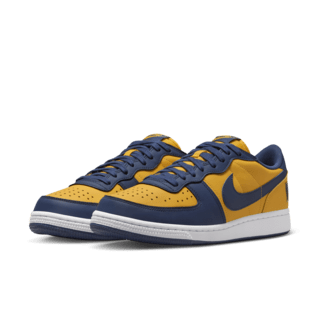 Fecha de lanzamiento del Terminator Low "University Gold and Navy" (FJ4206-700)