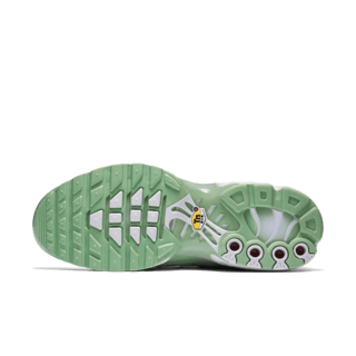 WMNS AIR MAX PLUS