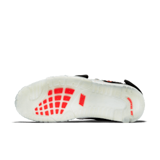 AIR TRAINER V. CRUZ
