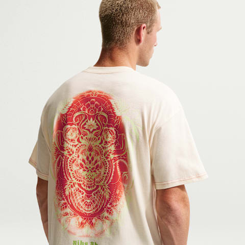 Мужские футболки Nike SB Skate T-Shirt