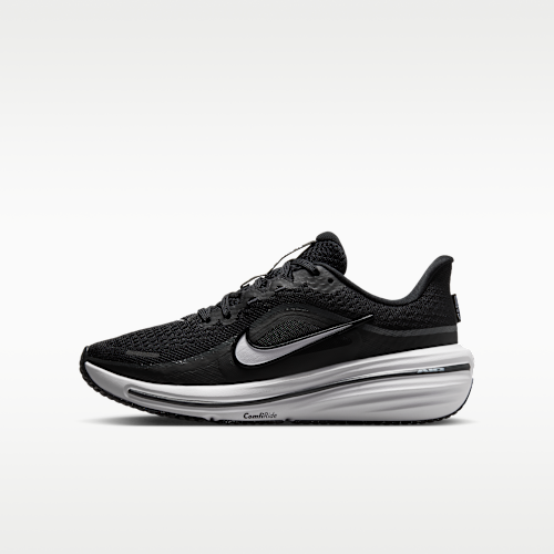 Nike Winflo 12