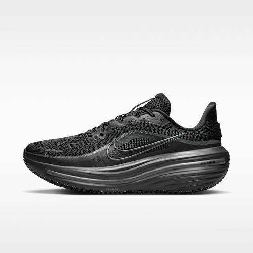 Nike Winflo 12