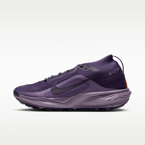 ACG ペガサス トレイル GORE-TEX