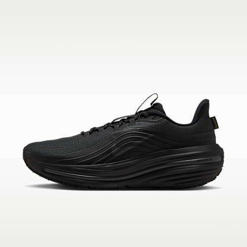 Nike Winflo 12 GORE-TEX