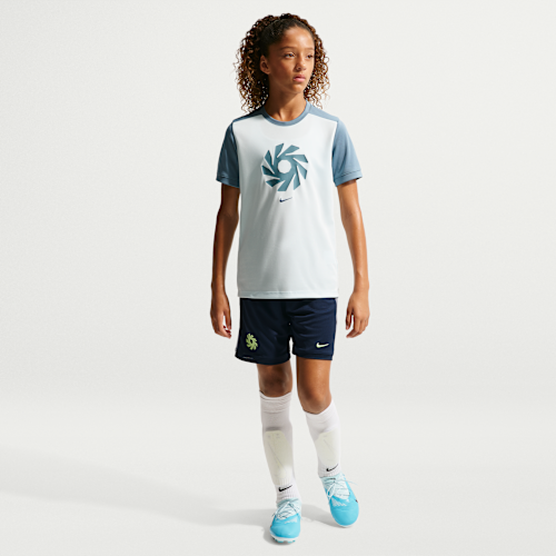アーリン ハーランド アカデミー
