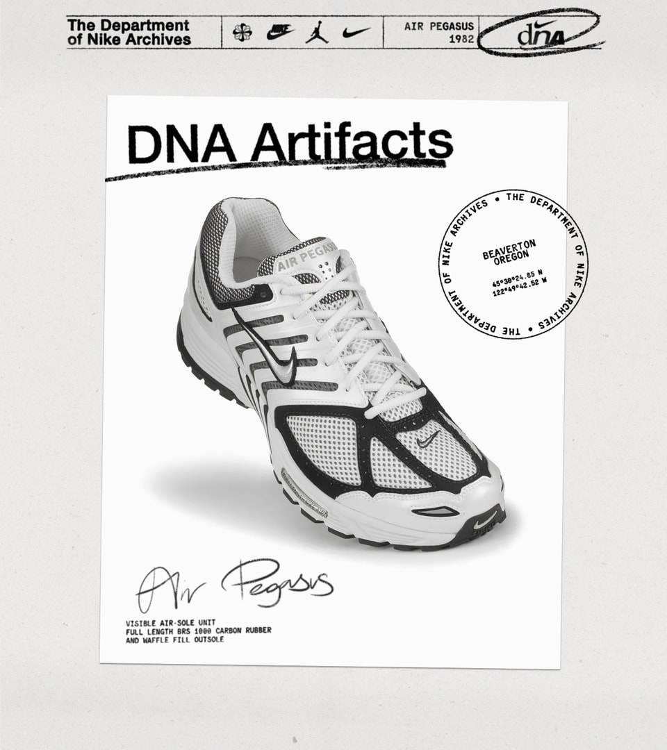 DNA Artifacts - Pegasus