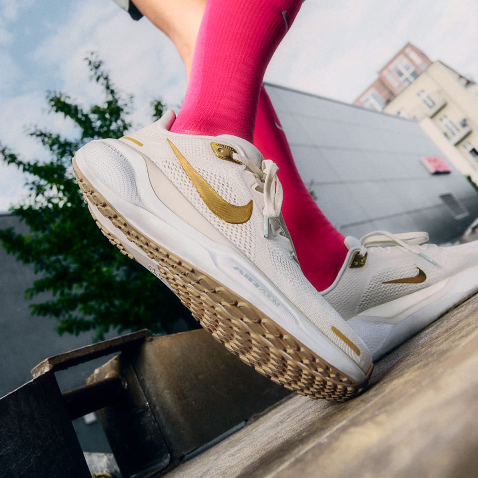 วิ่งไปกับ
Pegasus 41